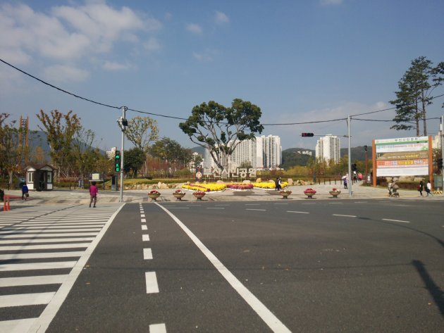 釜山市民公園手前の横断歩道